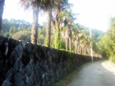 091107_bonglimsa210335.jpg
