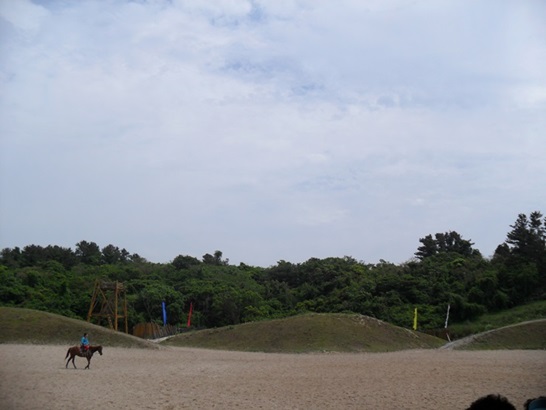 130610_bonglimsa201831.JPG
