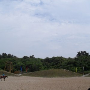 130610_bonglimsa201831.JPG