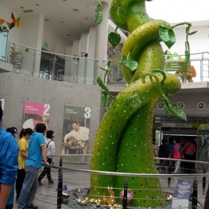130610_bonglimsa201850.JPG